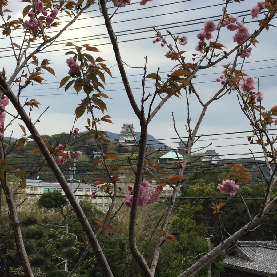 Hotel Saiyo Wakigawa Hirado Exterior foto